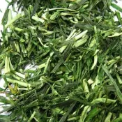 【牧草天堂randy-liu】口碑熱銷爆款牧草甜小麥草燕麥草苜蓿提摩西一割二割百慕達 廣受荷蘭豬天竺鼠豚鼠兔子龍貓牛羊馬