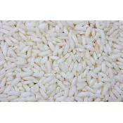 〈168all〉 600g【嚴選】蓬萊米 / 稻田米 Japonica Rice