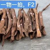 *🔥臺灣紫柚木杜鵑根天然沈木造景裝飾樹根蝦木珊瑚南美枝條精品長條魚缸