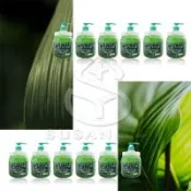 ★週年慶2026限定【SUSAN舒珊系列  十二入組】葉綠素頭皮調理霜1000ML