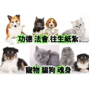 寵物紙紮 紙紮寵物 紙紮魂身 貓 狗 紙紮貓 狗 紙紮 貓咪 寵物紙紮 寵物往生 往生紙紮