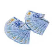 【金發財金紙】冥國台幣-面額1000x 500張(金紙-冥界財富系列)