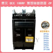 【DIY合作社】附發票 東元 QCE  100AF 無熔絲斷路器 無熔絲開關 2P 15A - 100A