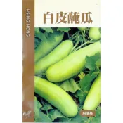 (店+)【天橙種子】白皮醃瓜種子 越瓜 3公克(約200粒)  2~7月播種 瓜果類  興農種苗 彩色原包裝