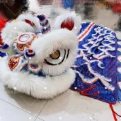 【全套雙人】佛山羊毛醒獅舞獅頭 兒童學生表演南獅 招財進寶