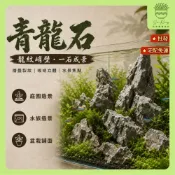 【欣榮園藝490全省免運】青龍石 1kg 天然原石 黑石 造景石 假山水池 黑奇石 英石 水族