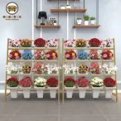 錦盛實木家居 公司貨 免運花店展示架 花架 鮮花梯形擺攤鮮花桶多層鐵藝養花醒花花卉置物帶桶工廠直銷 售後保障 全館折扣 店長新品推薦 6j715