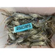 小小泰國蝦 、比白蝦便宜!當成小溪蝦賣、播蝦仁下酒菜好選擇~此商品沒有在八斤免運裡~