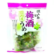 附發票 新包裝 效期26.12.05  熱銷 日本 野澤 梅酒梅 梅酒 酒梅 梅子 脆梅 開胃