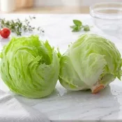 新鮮牧場 新鮮進口頂級美生菜*5顆 (300g-600g±10%/顆)