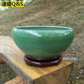 ✅水缸擺件 陶瓷魚缸桌面魚缸烏龜缸水仙水培花盆睡蓮缸碗蓮花盆荷花盆