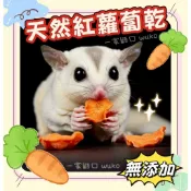 【WuKo｜超人氣蔬果乾】手作紅蘿蔔乾 超新鮮天然製作 純天然無添加 蜜袋鼯點心 寵物點心  WuKo手作水果乾 小寵物