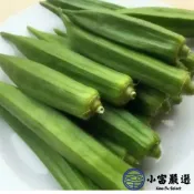 【小富嚴選】冷凍A級秋葵 (1000g/包) 秋葵 9分熟秋葵 冷凍蔬菜 鮮凍秋葵 即食 涼拌 拼盤
