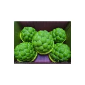 【i郵購】《蓮霧王》台東大目釋迦精品特大巨無霸級別4~5粒裝【5台斤士5%】X1盒【本島免運】