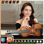 【NWIN171聖維s1手小提琴官方初學者成兒童級