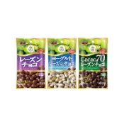 【正榮】日本零食 正榮 葡萄乾巧克力 巧克力 果乾巧克力 葡萄乾 優格巧克力 牛奶巧克力 果乾夾心 夾心巧克力
