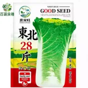 【原裝】東北28斤大白菜種子 3克約1000粒 超大顆耐儲存 適合醃酸菜／煮湯 台灣氣候可種 CP值超高