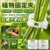 植物固定夾 塑料綁蔓夾 植物夾 哈密瓜夾 塑料綁蔓夾 綁枝夾 吊蔓夾 扶蔓夾 藤蔓固定夾子 枝條夾 番茄環扣 園藝夾