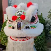 小寧 舞獅道具南獅醒獅雙人成人款澳洲羊毛獅子節日舞獅全套一整套 舞獅 舞獅頭 醒獅 可眨眼 醒獅獅頭 獅子頭、 ★8.1