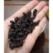 陳年紅烏龍茶 四兩150g 紅水烏龍茶 有著紅茶的香甜 烏龍茶的回甘 老茶的陳韻