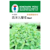 (店+)【天橙種子】西洋九層塔種子H-030 約100粒 庭園羅勒 香草種子 農友種苗 彩色原包裝
