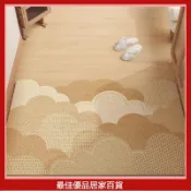 門口地墊 玄關地墊 颳泥地墊 大門地墊 進門地墊 絲圈地墊輕奢耐臟易打理地墊家用進門耐磨防滑可裁剪入戶門地墊