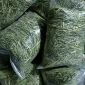 【牧草天堂randy-liu】過篩 無防腐劑純天然萌寵牧草 給兔兔天竺鼠豚鼠荷蘭豬龍貓陸龜安全主食 牛馬羊無負擔粗飼草料