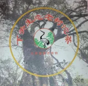 [震宇普洱茶] 10送1 生普 下關 2012 250g  生態老樹 野生茶 沱茶