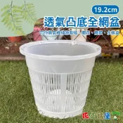 【花園城堡】現貨 19.2cm透氣凸底全網盆(材質加厚) 氣根植物栽培 蘭花 蕨類 水耕盆 高度透水透氣 透氣盆 控根盆