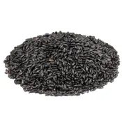 紫米 一斤 600G 黑糯米 五穀乾貨 乾貨 雜糧 冰品佐料