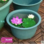 華成 精品推薦 #荷花盆 #塑膠花盆 加厚水培無孔荷花盆睡蓮碗蓮花專用塑膠花盆缸家用庭院