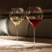 滿滿高級感的白葡萄酒杯氣泡香檳杯顏值豪華紅酒杯 超薄細桿透亮