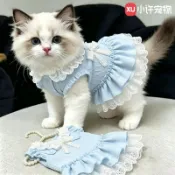 【泉盛百貨行】寵物衣服 寵物連衣裙 可愛公主風蛋糕裙薄款 適合布偶貓金漸層貓咪穿著 舒適透氣減少掉毛打造萌寵造型穿搭服飾