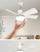 【3C驗證】風扇照明一體燈螺口風扇燈E27臥室客廳電風扇 落地扇 吊扇 壁扇 工業風扇