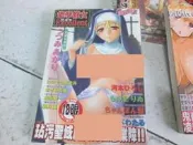 成人漫畫B ~ 慾孽修女 (新視界 C433 ) 全新庫存~可合併運費