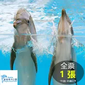 花蓮遠雄海洋公園 全票1張