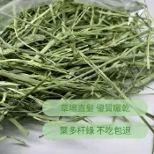 台灣發貨 進口特級牧草組 甜燕麥 提摩西一割 苜蓿 甜小麥草 百慕達草 高纖維護齒 促進腸胃蠕動 天然無添加 小寵健康營