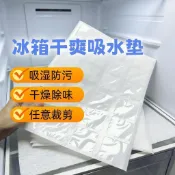 ⚡️冰箱專用抑菌除味除溼乾燥劑冰箱冷藏櫃去除滴水塑料大除溼吸水袋flame