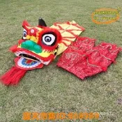 樂享購✨舞獅舞獅兒童頭演出服兒童表演小獅子學生舞獅道具獅子頭小孩醒獅