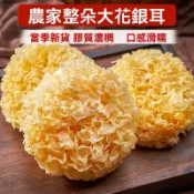 台灣出貨💗古田特産大花銀耳500g 白木耳 銀耳  新鮮幹貨 雪耳 糯蓮子羹 銀耳蟲草
