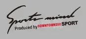 【湘阪車飾】DOWNTOWN350機車 摩托車  燈眉貼 大燈貼 車身貼 BWS/CUXI/CYGNUS/EC/JOG