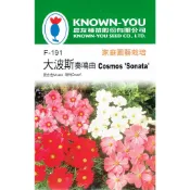 愛上種子 大波斯奏鳴曲【花卉種子】大波斯菊 農友牌 花卉小包裝種子 約40粒/包