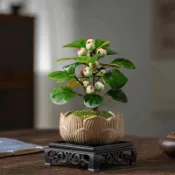 森禾|🌱🌱【菩提樹種子】高發芽客廳鎮宅招財運植物 菩提種苗菩提子種子 小盼菩提樹種子 桌面盆栽 文雅情趣 陶冶情操植