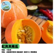 紅貝貝南瓜種子 栗子南瓜 迷你南瓜 日本南瓜 貝貝南瓜 紅栗南瓜 小巧南瓜 家庭菜園 陽台盆栽 觀賞食用 紅皮南瓜