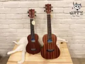 ♪ Your Music 愉耳樂器♪現貨aNueNue Aqua 002 烏克麗麗 23吋 桃花心木 附原廠鯨魚琴袋