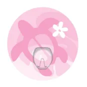 (店+)【AMONKA】3R神奇無痕掛勾(圓單勾)(可愛龜-粉色)2入｜免釘掛勾｜強力無痕貼｜防水掛勾｜浴室掛勾｜廚房收納掛勾｜可重複使用