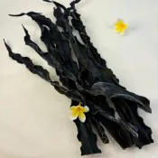 天天免運【惠珍軒】日本海帶頭／迪化街老店／堅果／果乾／零嘴／南北貨／批發／有開發票
