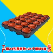 【臺灣熱賣】5套10套6孔12孔15孔24孔穴盤託盤苗杯花盆托架塑料圓孔方孔蝴蝶蘭《優選》