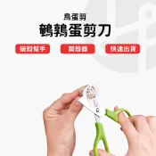 【現貨供應 隔日出貨】鳥蛋剪刀 鵪鶉蛋剪刀 鳥蛋剪 剪刀 鵪鶉 鳥蛋 不鏽鋼 304 鵪鶉蛋 小鳥蛋 剪蛋器 烤鳥蛋