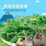 牧草甜燕麥草燕麥草甜小麥草苜蓿提摩西一割二割高纖磨牙健齒兔子龍貓荷蘭豬全階段適用營養全面適口性好